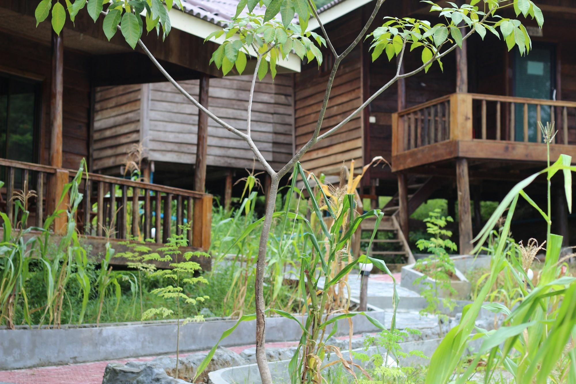 Golden Bungalows Kaoh Touch Екстериор снимка